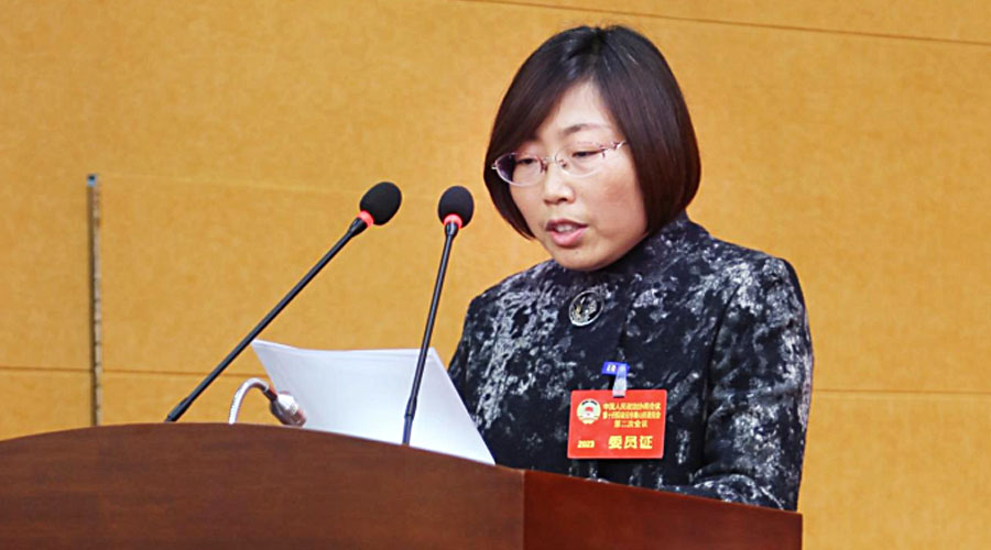 政协发言3